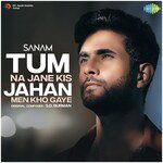 Tum Na Jane Kis Jahan Men Kho Gaye-cover