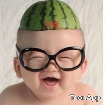 🍉🍉 Burungku gagal mati 🍉🍉
