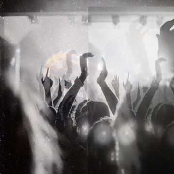 Through The Roof-cover