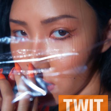 TWIT(멍청이)-cover