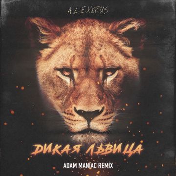 Дикая львица - Adam Maniac Remix-cover