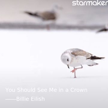 You Should See Me in a Crown-cover