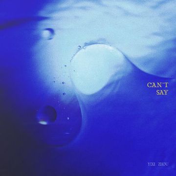 Can't Say-cover