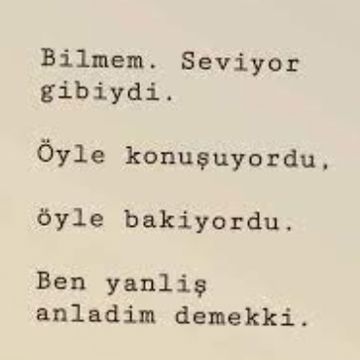 Seviyor Gibiydi siir