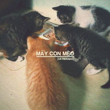 coveImg