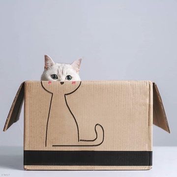 coveImg