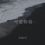 可是你说-cover