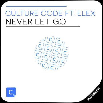 Never Let Go(Extended Mix)(Extended Version)-cover