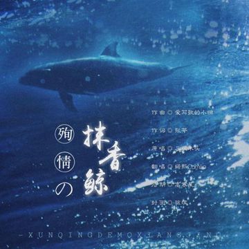 殉情的抹香鲸-cover