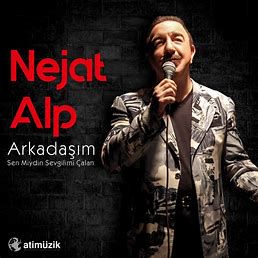 Sen Miydin Sevgilimi Çalan?-cover