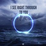 I See Right Through To You-cover