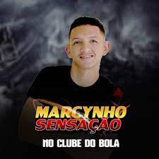 Gatinha -cover
