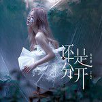 还是分开(CD版)-cover