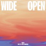 Wide Open(feat. Ta-ku & Masego)-cover
