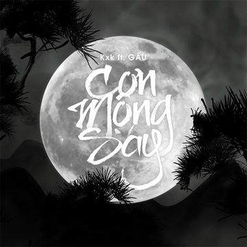 Cơn Mộng Say-cover