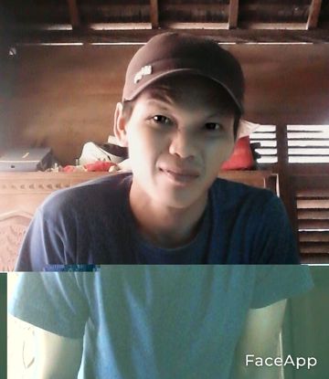 PURA PURA LUPA,,,COVER ARIES