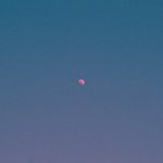 But There's Still the Moon-cover