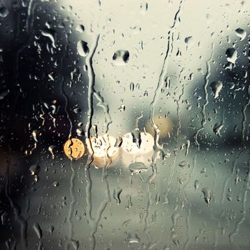 On Rainy Days - Tien Cookie