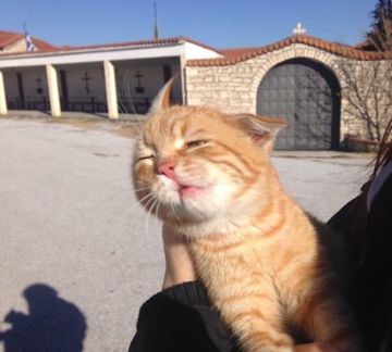coveImg