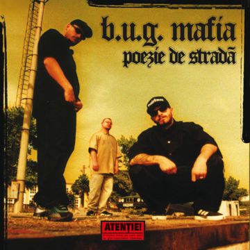 E chiar asa, frate - Radio Edit-cover