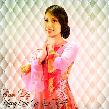Không Bao Giờ Quên Anh-cover
