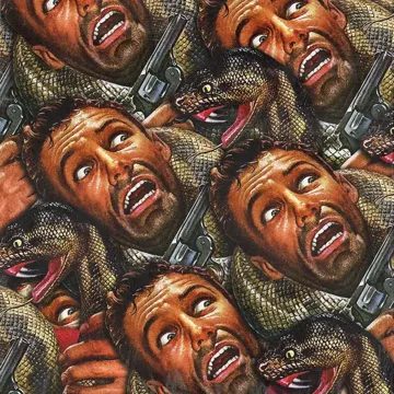 coveImg