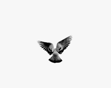 GOODBYE by walter-cover