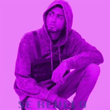 Se Reveló-cover