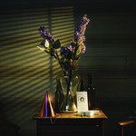 In Violet-cover