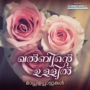 Maamalanaadin-cover