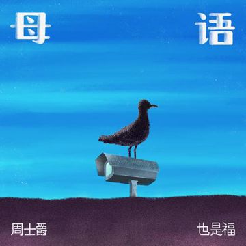 Skit-cover