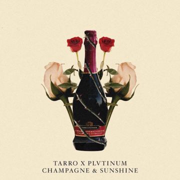 Champagne & Sunshine-cover