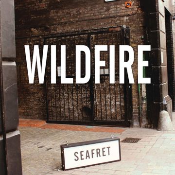 Wildfire-cover