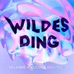 WILDES DING-cover