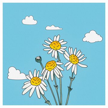 tasbir-wolvezsta-turjobjoy-meghbalika-cover-image