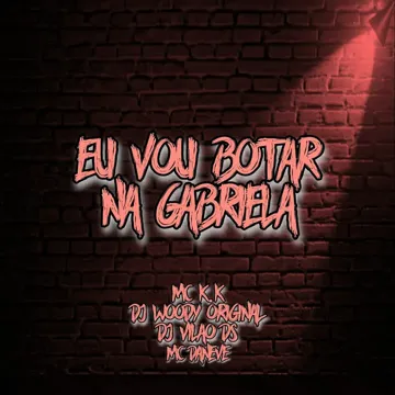 Eu Vou Botar na Gabriela (feat. Dj Vilão DS) (feat. Dj Vilão DS)