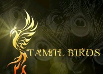 🦚TAMILBIRDS🦚-cover