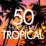 Shallow(Tropical Mix)-cover