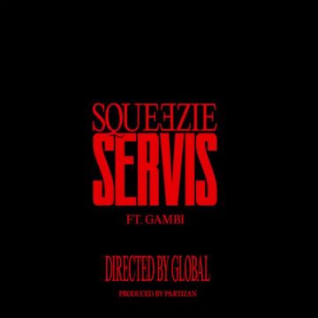 Servis-cover