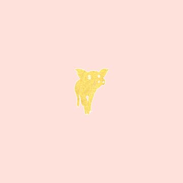Piggy Dream-cover