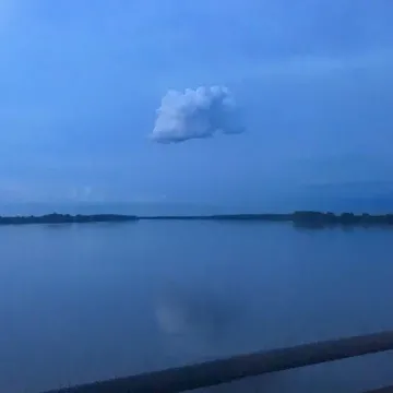 coveImg