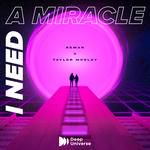 I Need A Miracle(VIP Mix)(Remix)