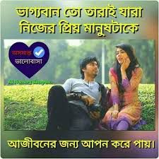 আমার সোনা জান পাখি-cover