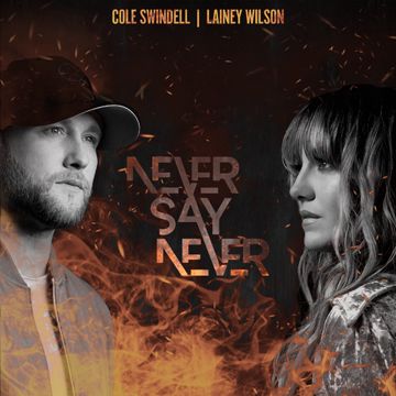Never Say Never-cover