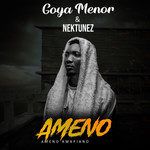 Ameno Amapiano-cover