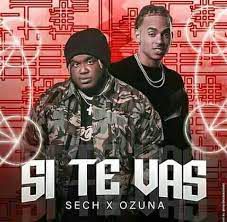 Si Te Vas-cover
