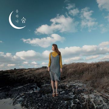 숨-cover