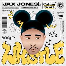 Whistle-cover