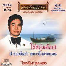 ไอ้หนุ่มตังเก