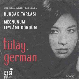 Mecnunum Leylamı Gördüm-cover